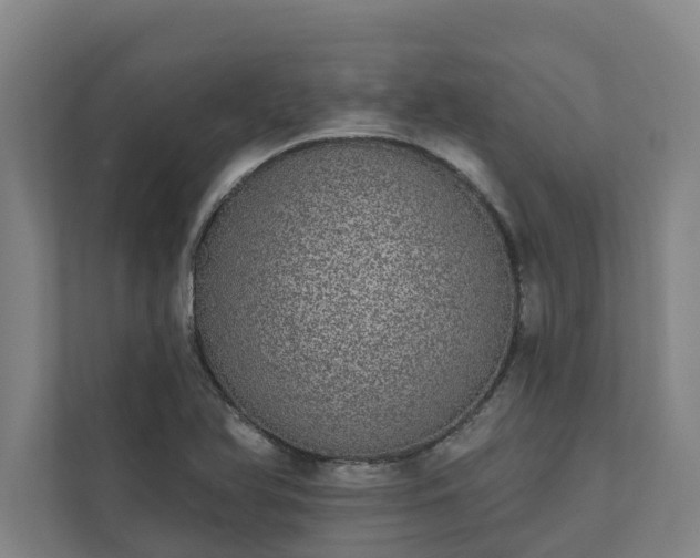 X0000110761366200906221114