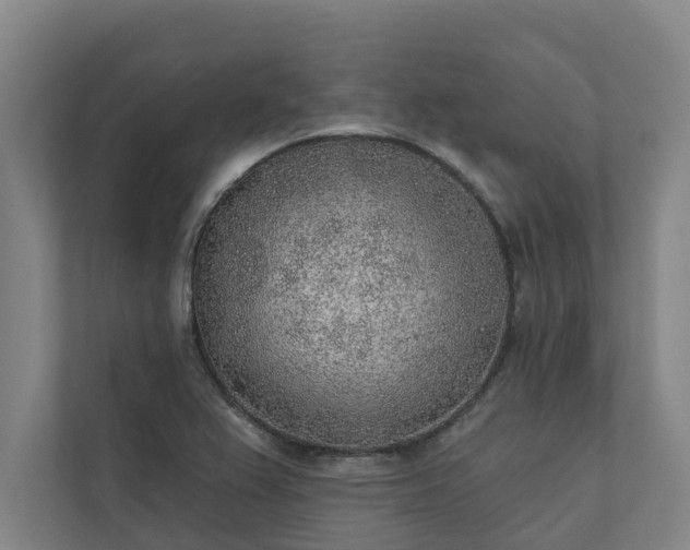 X0000110761367200906221113