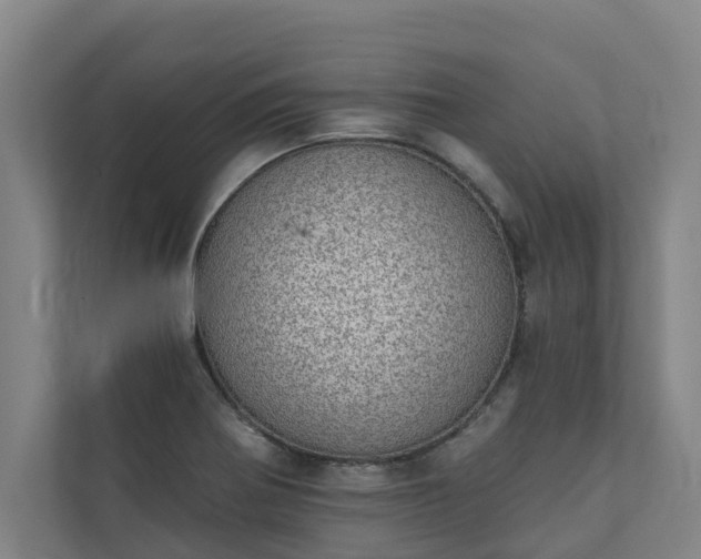 X0000110761370200906221113