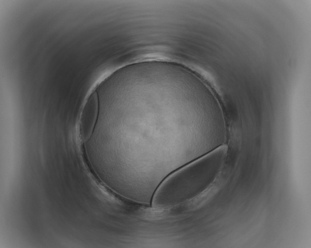 X0000110761373200906221113