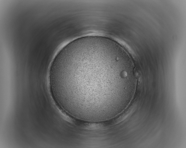 X0000110761375200906221113