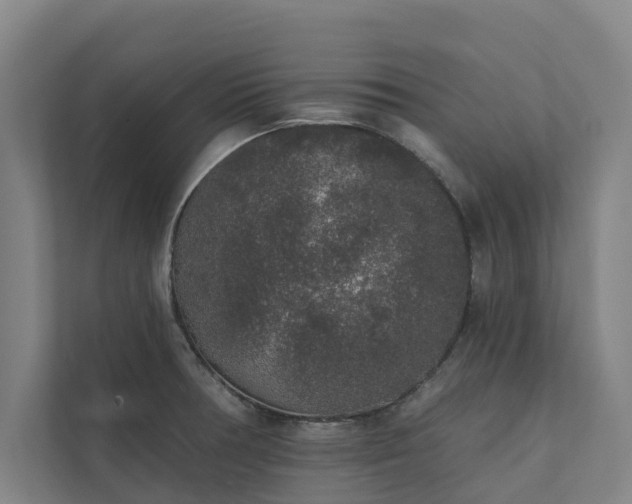 X0000110761378200906221113