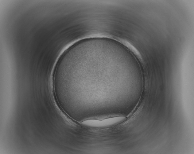 X0000110761380200906221113