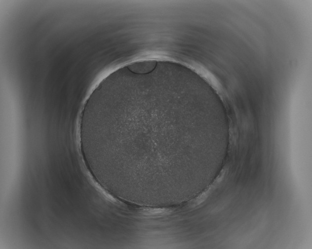 X0000110761382200906221113