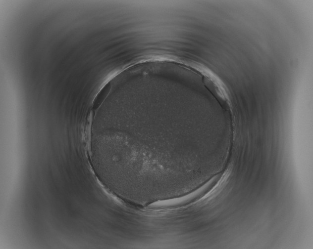 X0000110761385200906221113