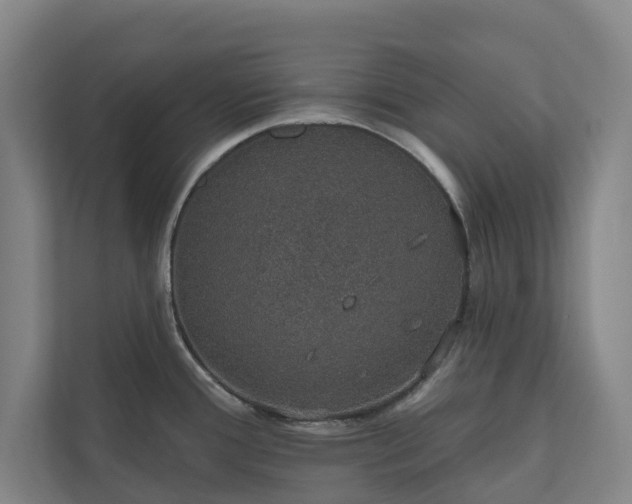 X0000110761388200906221113