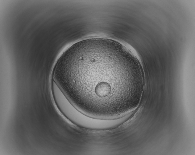 X0000110761389200906221113