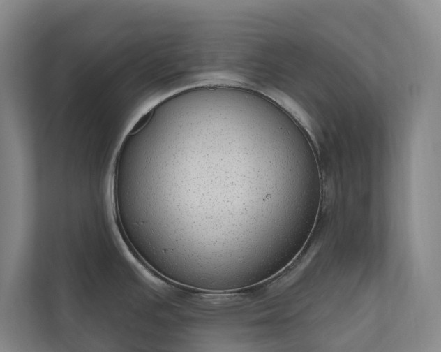 X0000110761391200906221113