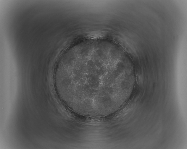X0000110761393200906221113