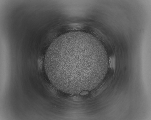 X0000110761395200906221113