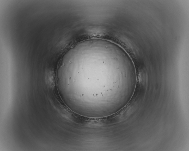 X0000110761396200906221113