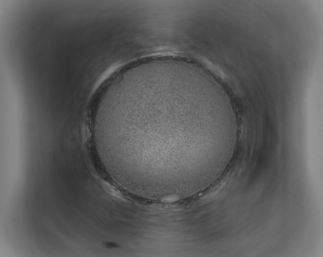 X0000110761400200906221113