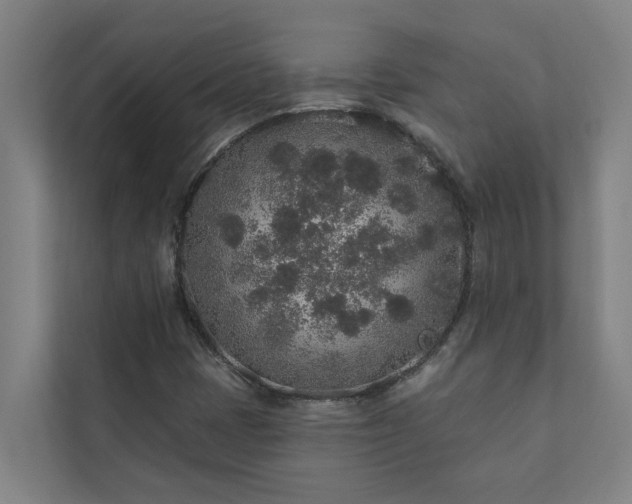 X0000110761401200906221113