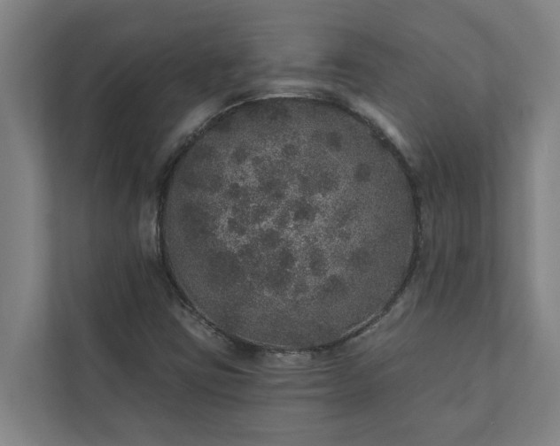 X0000110761403200906221113