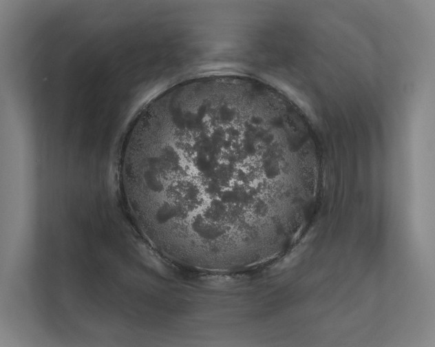X0000110761405200906221113
