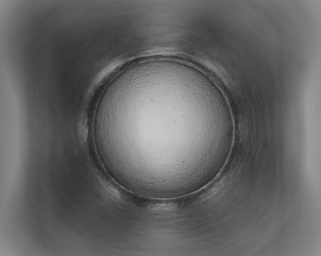 X0000110761406200906221113