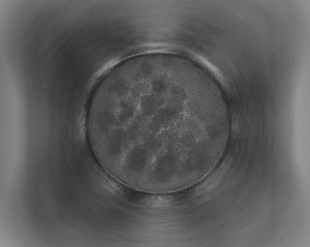 X0000110761411200906221113