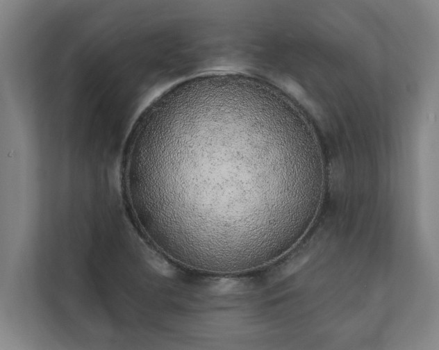 X0000110761412200906221113