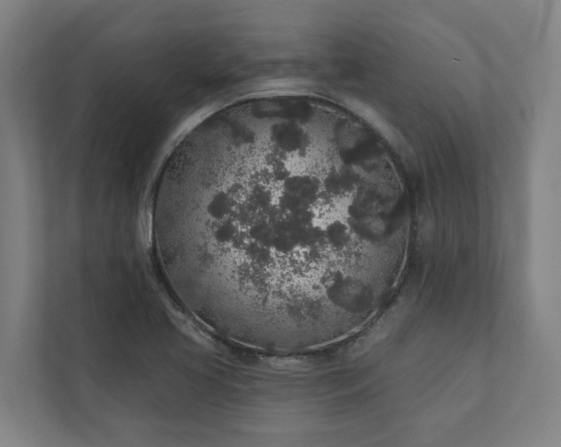 X0000110761413200906221113