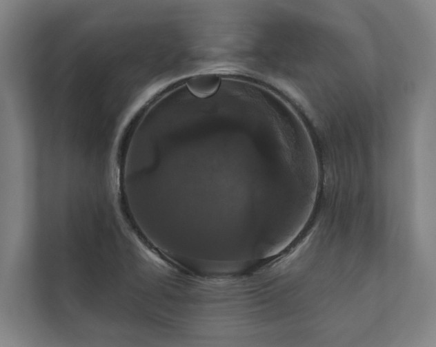 X0000110761414200906221113