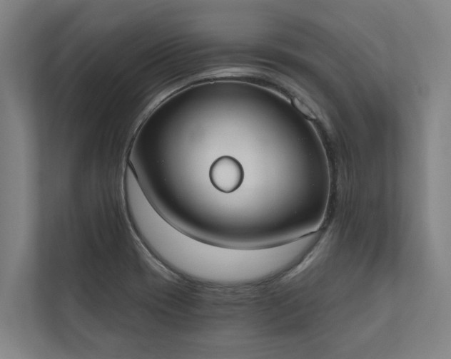 X0000110761417200906221113