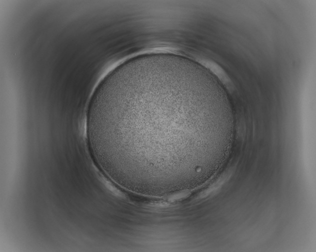 X0000110761420200906221113