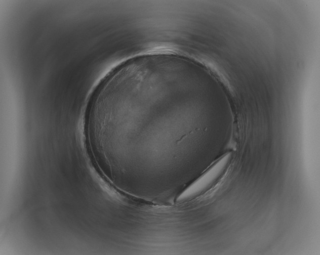 X0000110761422200906221113