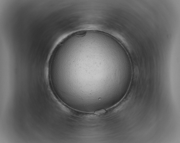X0000110761424200906221113