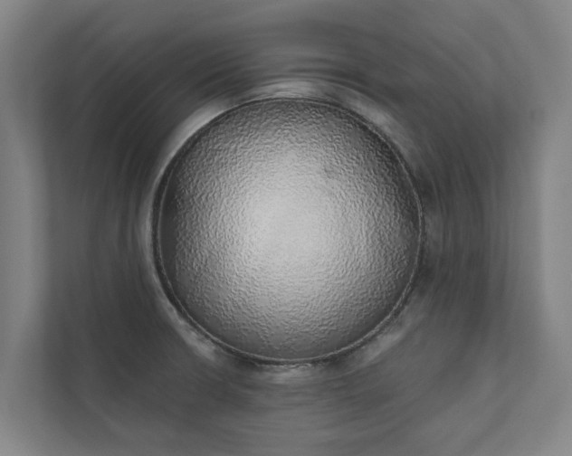 X0000110761426200906221113