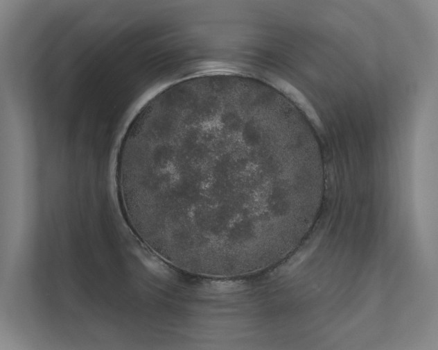 X0000110761427200906221113