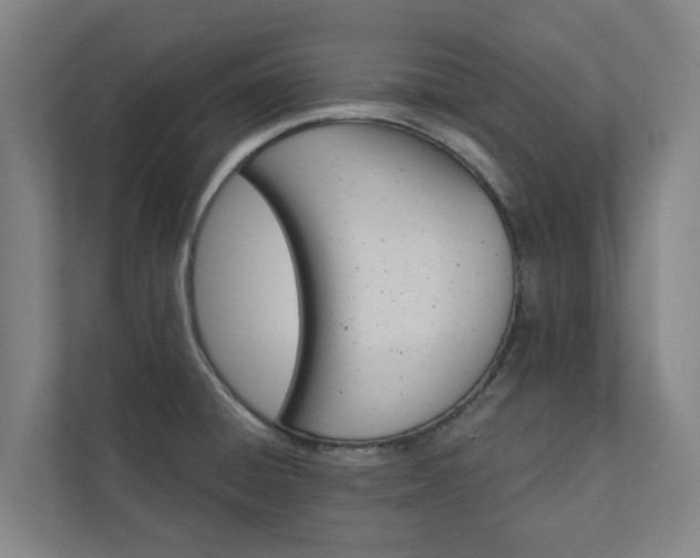 X0000110761428200906221113
