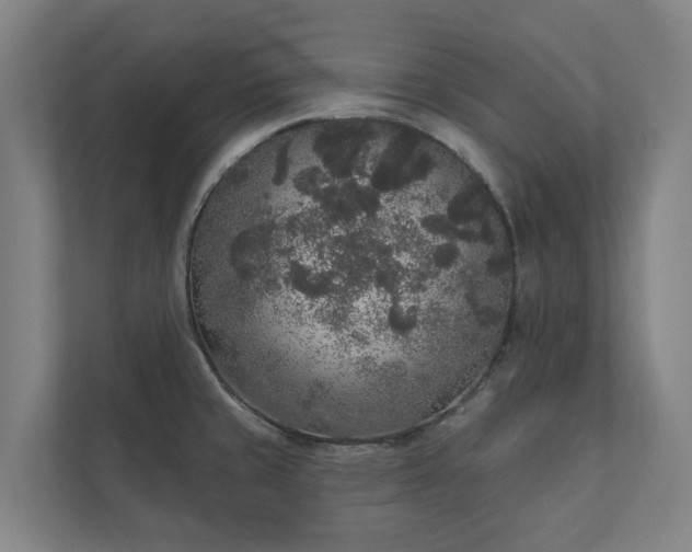 X0000110761429200906221113