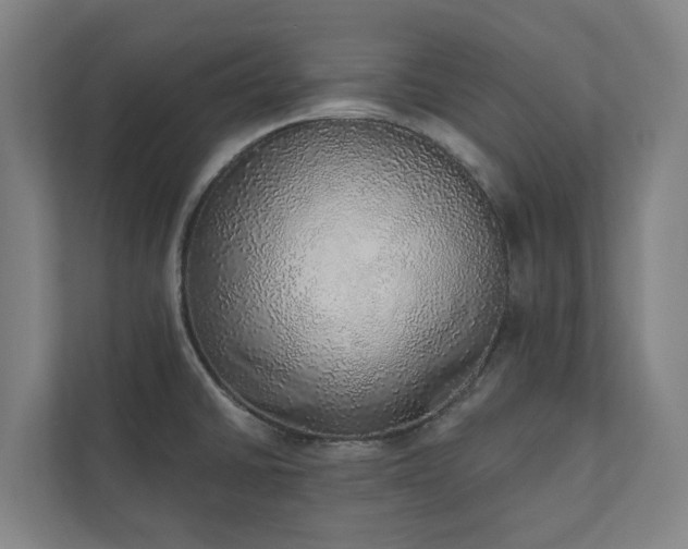 X0000110761430200906221113