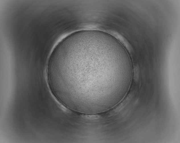 X0000110761432200906221113
