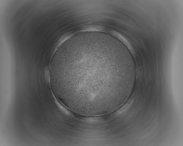 X0000110761433200906221113