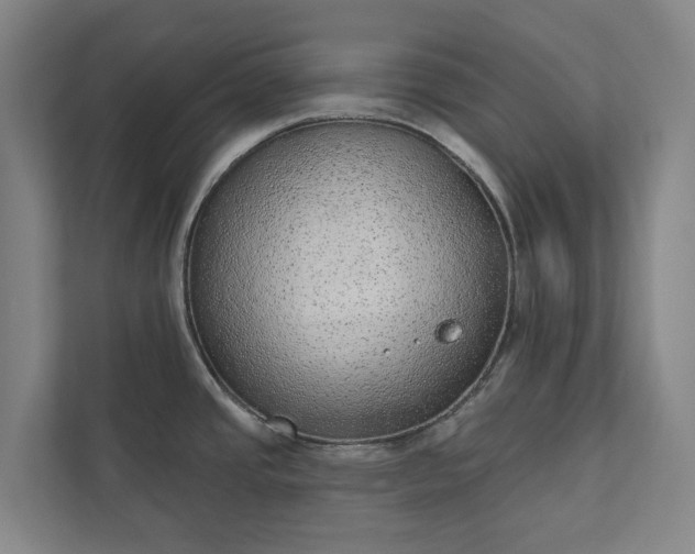 X0000110761437200906221113