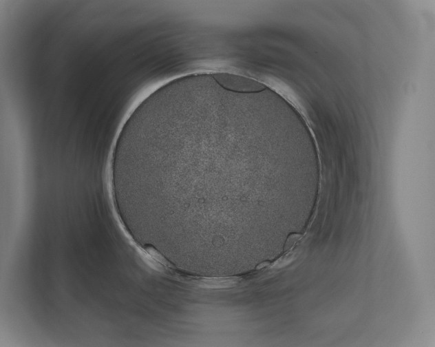 X0000110761440200906221113