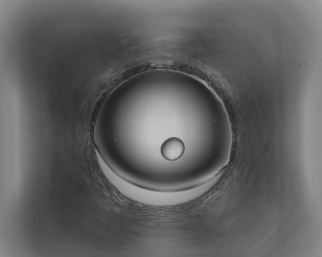 X0000110761445200906221112