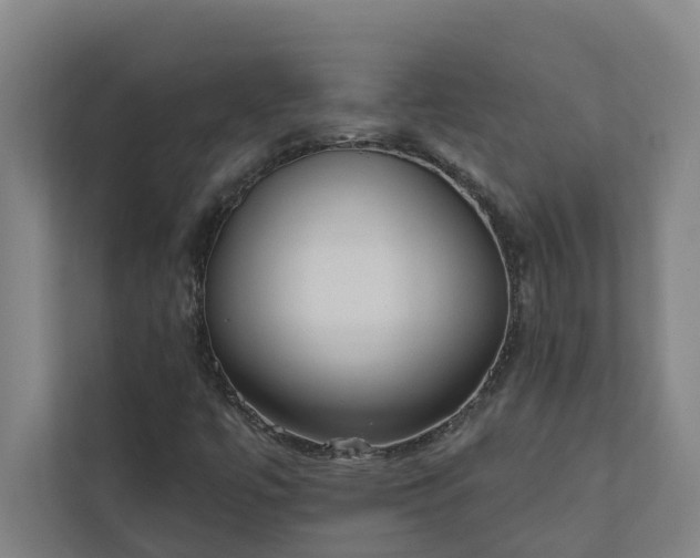 X0000110761447200906221112