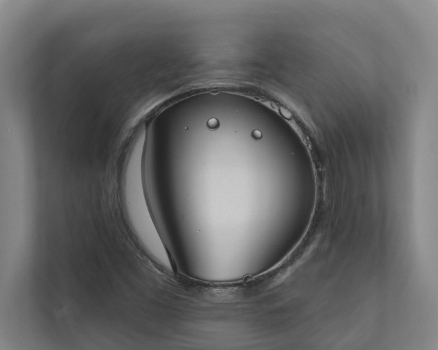 X0000110761453200906221112