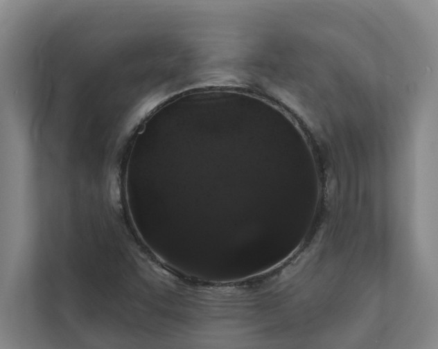 X0000110761455200906221112