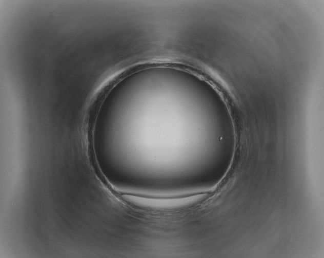 X0000110761456200906221112