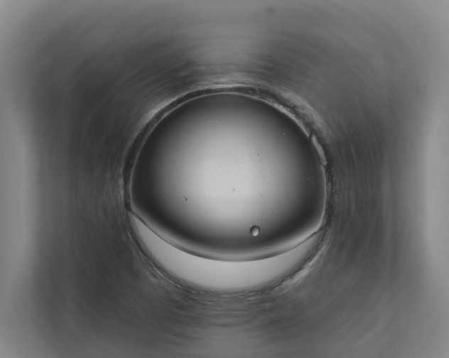 X0000110761457200906221112