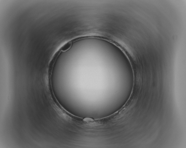 X0000110761460200906221112
