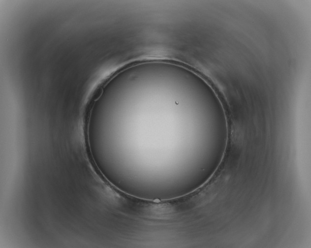 X0000110761464200906221112