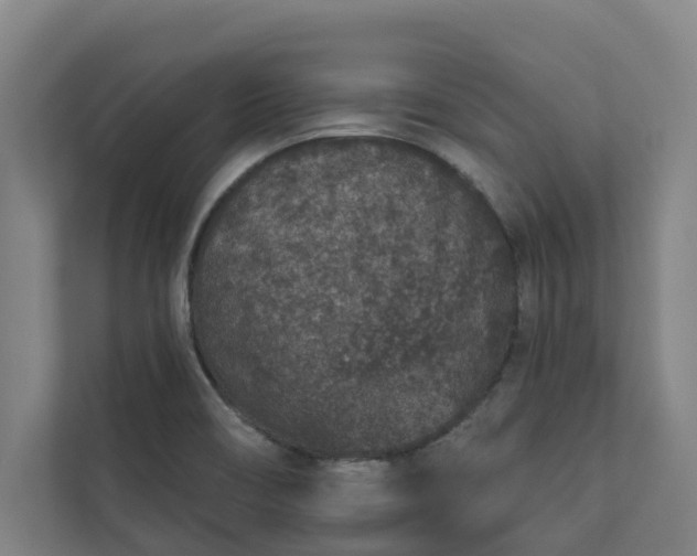 X0000110761466200906221112