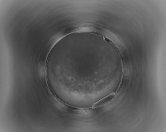 X0000110761473200906221112