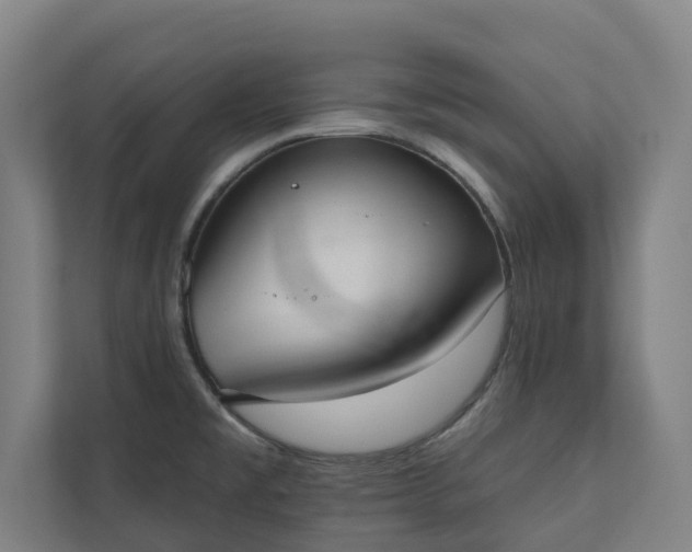 X0000110761477200906221112