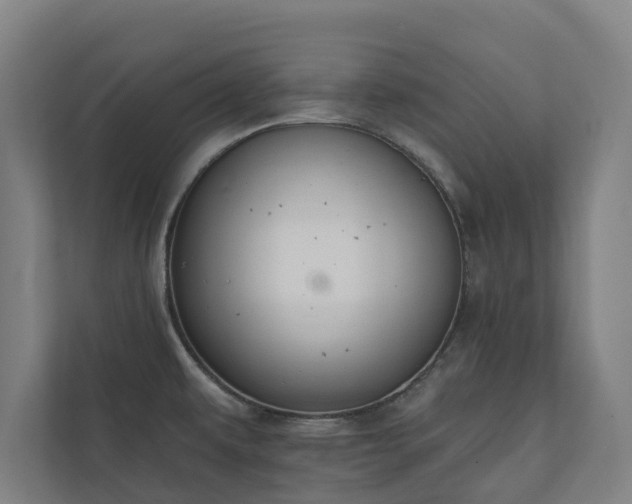 X0000110761479200906221112