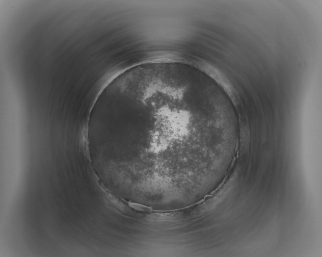 X0000110761481200906221112